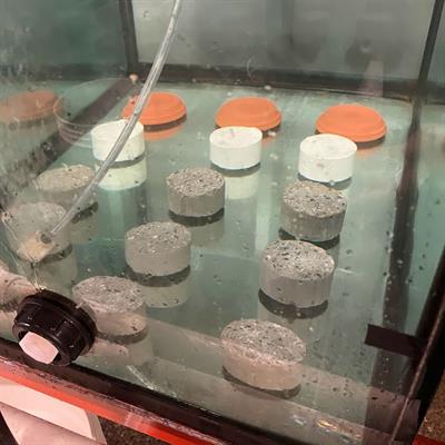 Evaluating the biocompatibility of ceramic materials for constructing artificial reefs